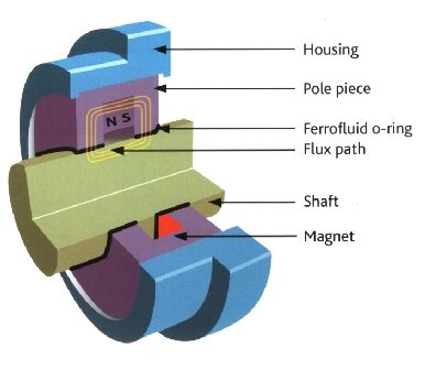 Seal cutaway